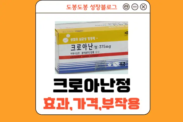 크로아난정 안내 이미지