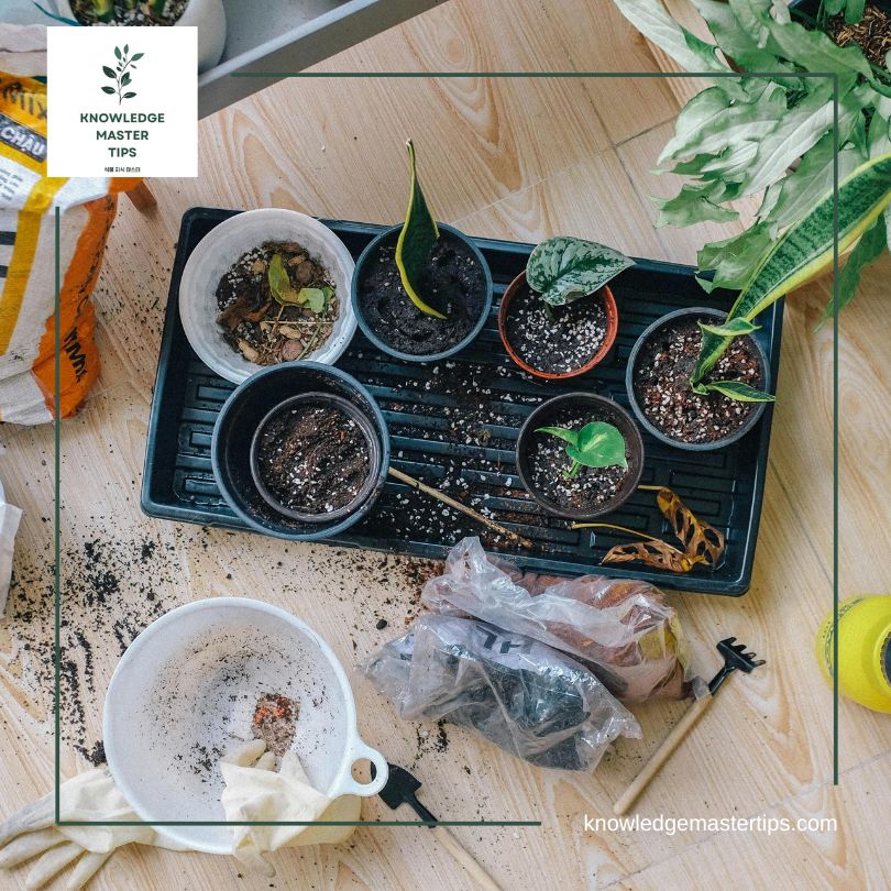 분갈이에 필요한 도구