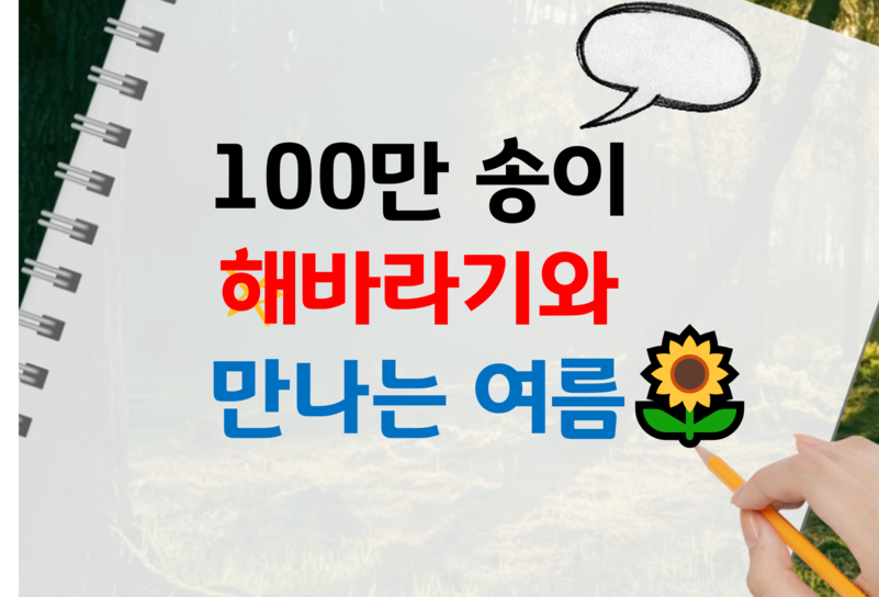 100만 송이 해바라기와 만나는 여름