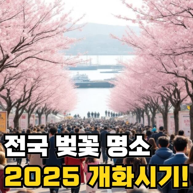 전국 벚꽃 명소 개화시기