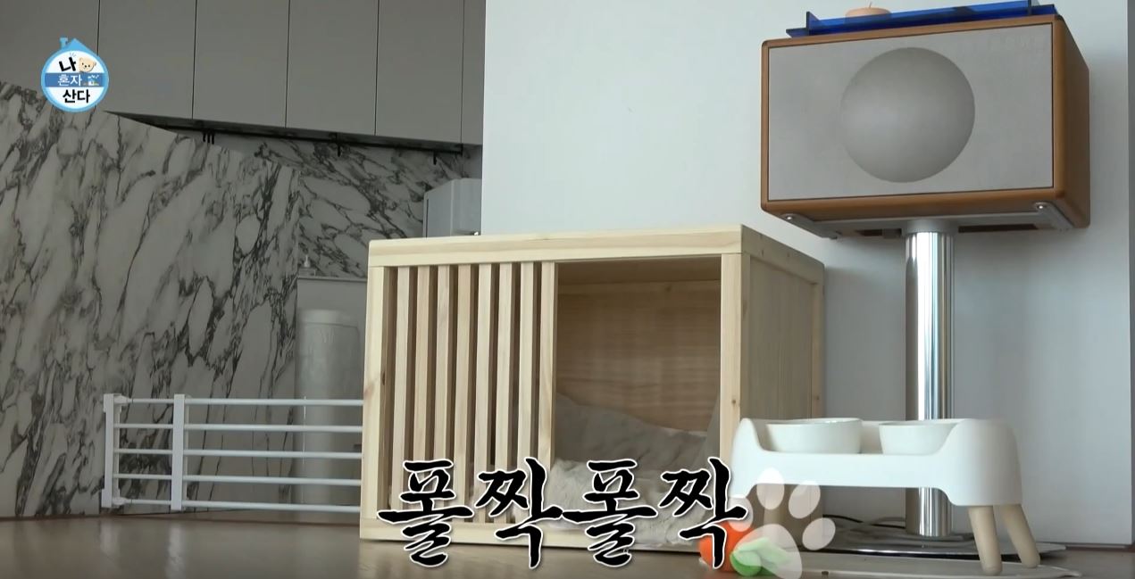 키 새집 위치 가격 샤이니 나혼산 한남동 주택 공개