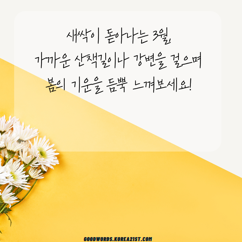 3월 인사말 문구 이미지 모음집
