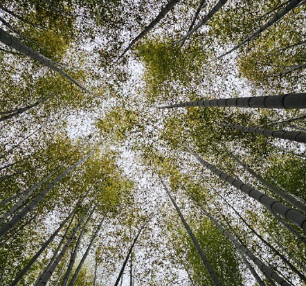 부산 여름 여행 필수! 시원한 야외 장소 BEST 5 추천 가볼만한곳