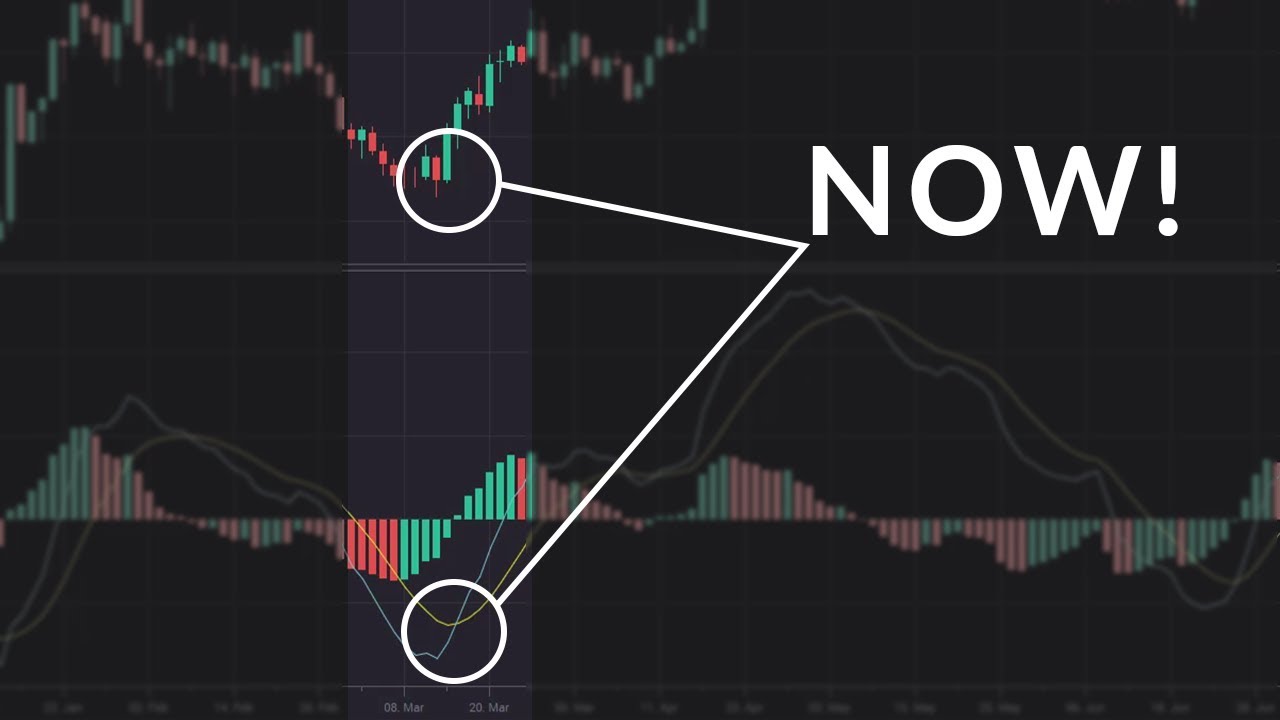 비트코인 보조지표 MACD 보는 방법과 오실레이터(Oscillator) 2
