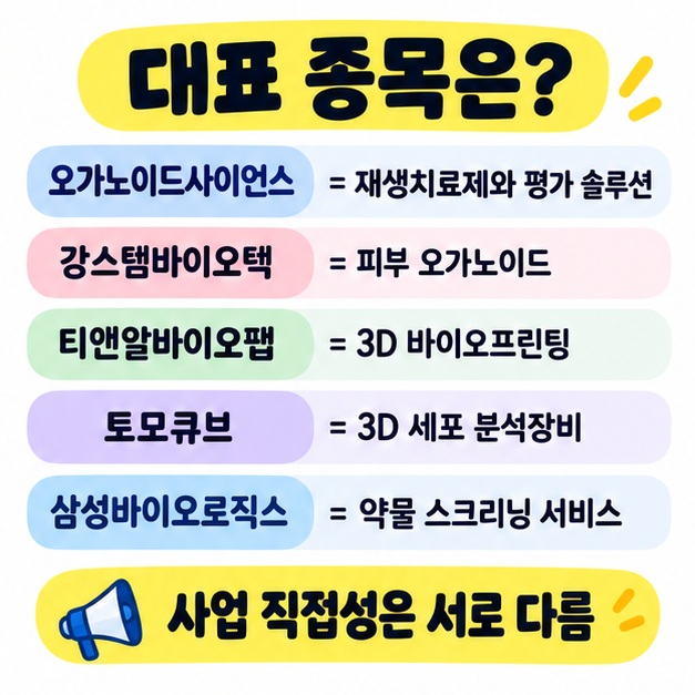 오가노이드사이언스, 강스템바이오텍, 티앤알바이오팹, 토모큐브, 삼성바이오로직스의 오가노이드 사업 연관성을 비교한 카드