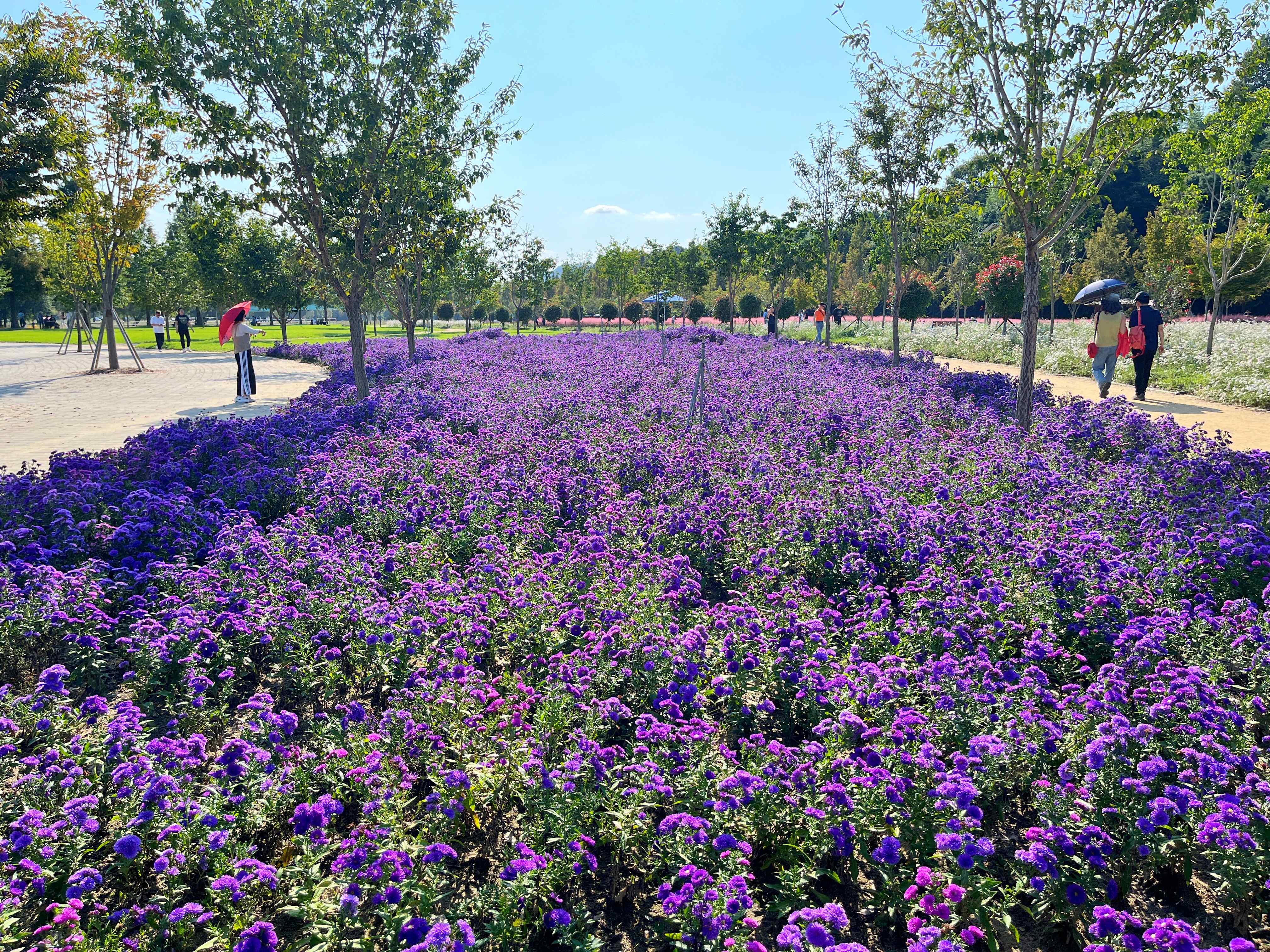 신소양체육공원