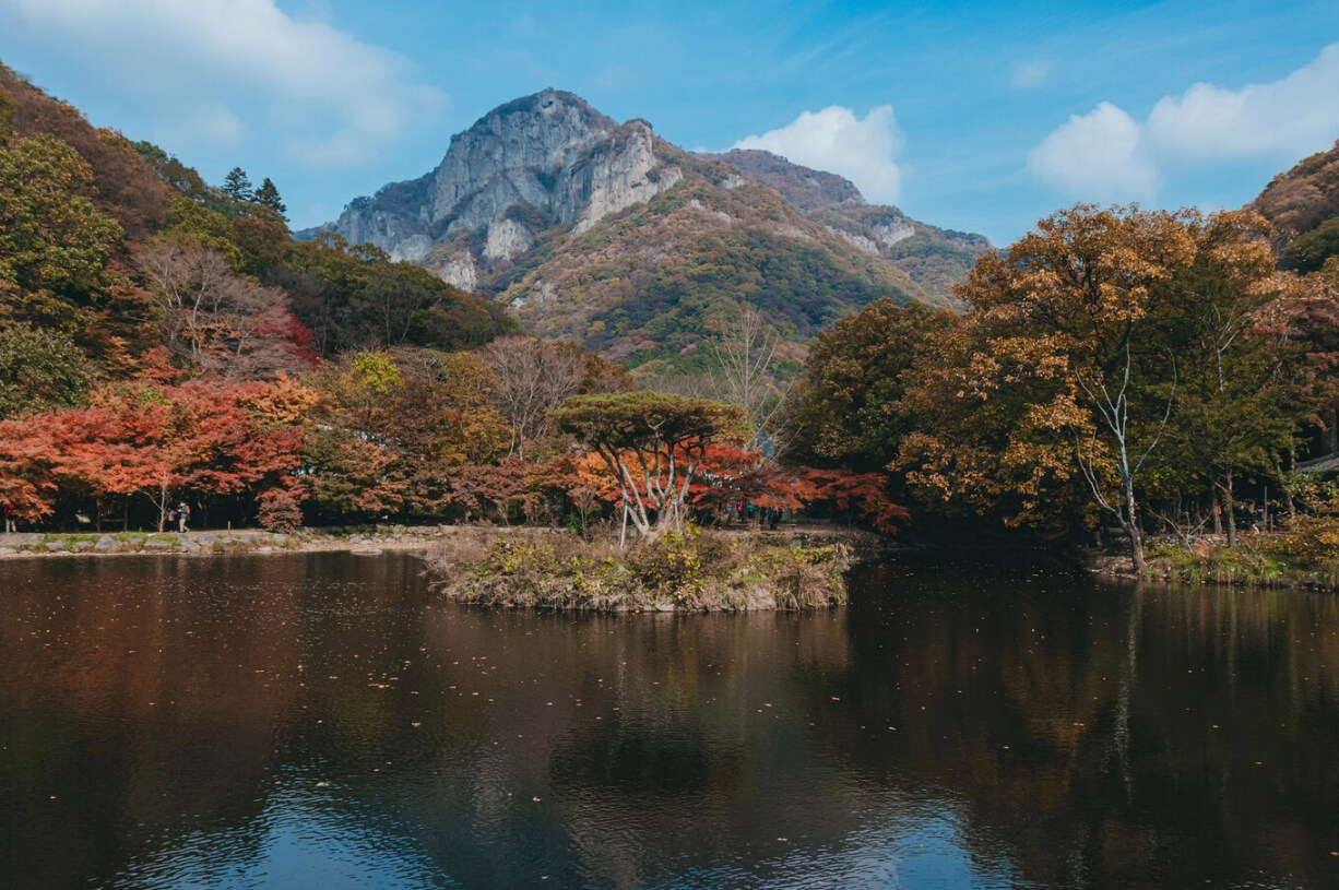 자연