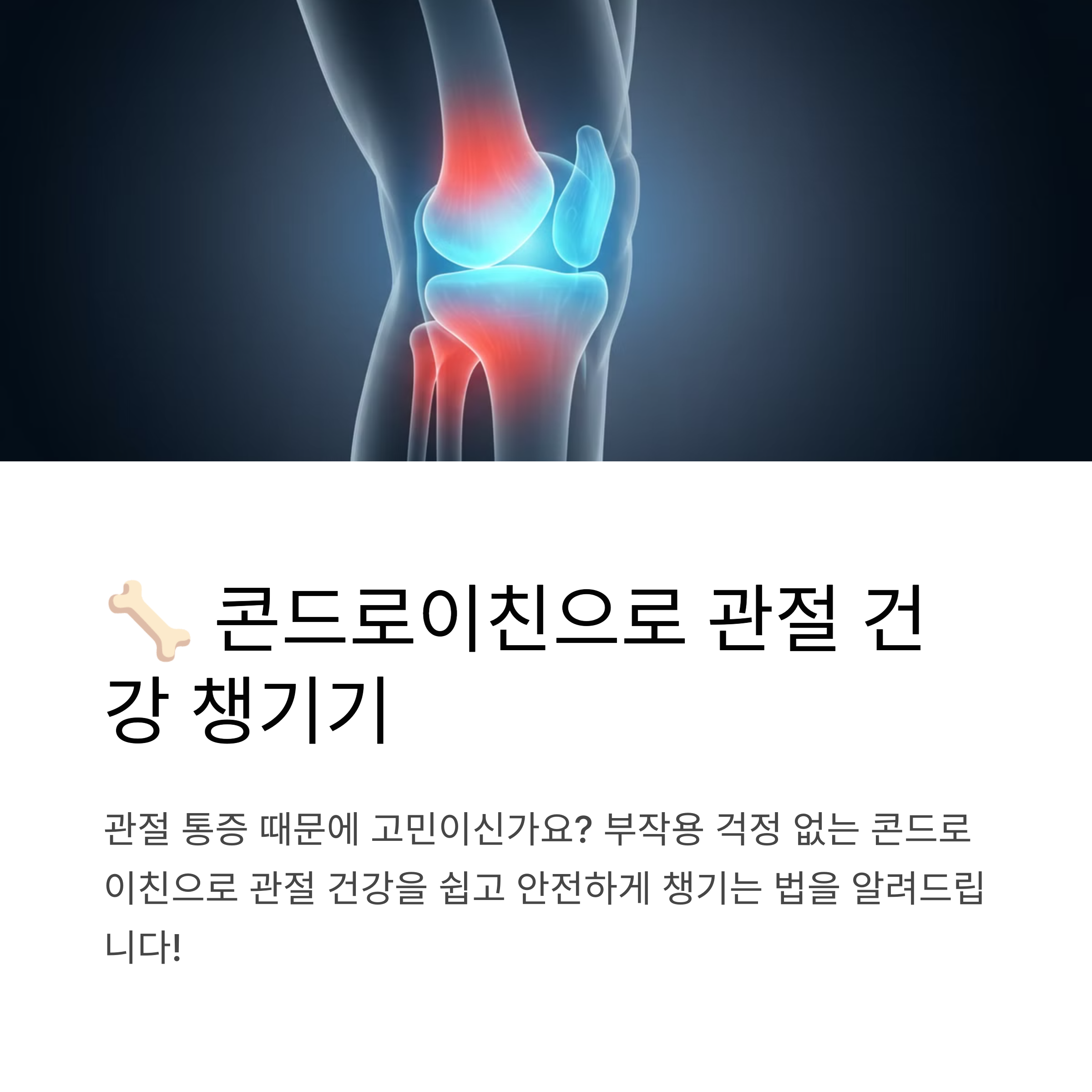 콘드로이친으로 관절 건강 챙기기