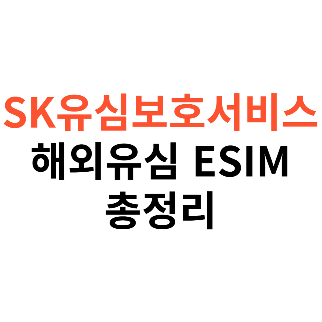 SKT 유심보호서비스