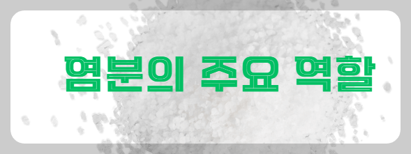 염분의 주요 역할