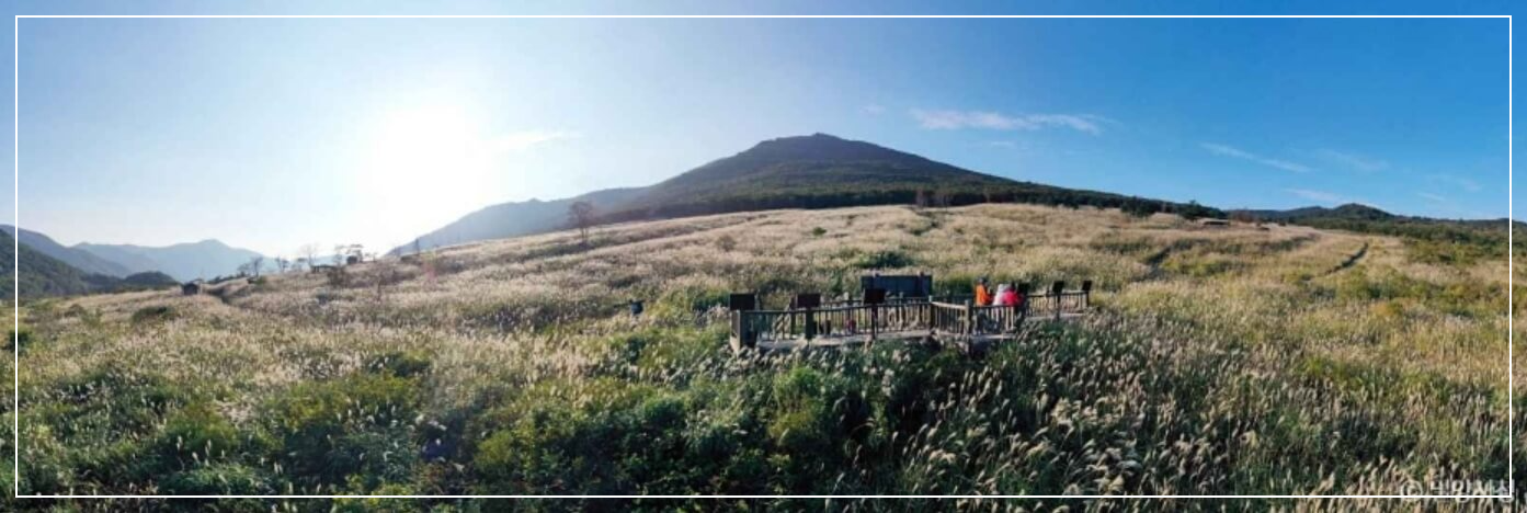 밀양 가볼만한곳 베스트10 사자평 억새평원