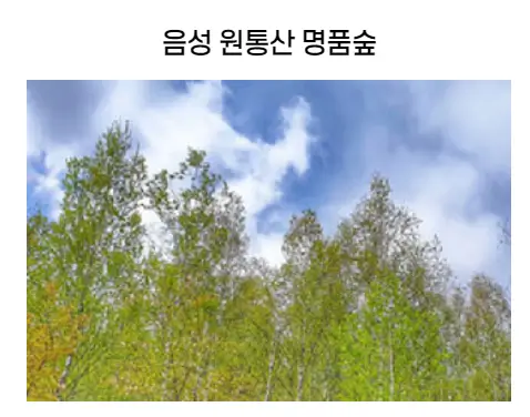 숲길체험-명품숲