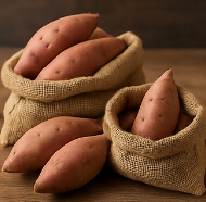 고구마 수확시기