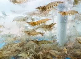 9월 가볼만한 곳 베스트