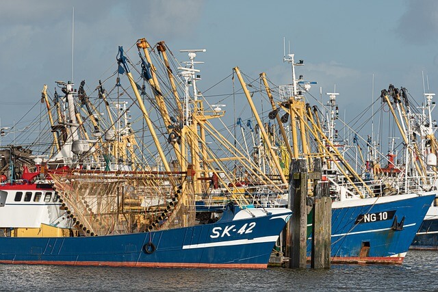 구직촉진수당 지원 대상자 온라인 신청방법(국민취업지원제도 1유형 최대300만원)