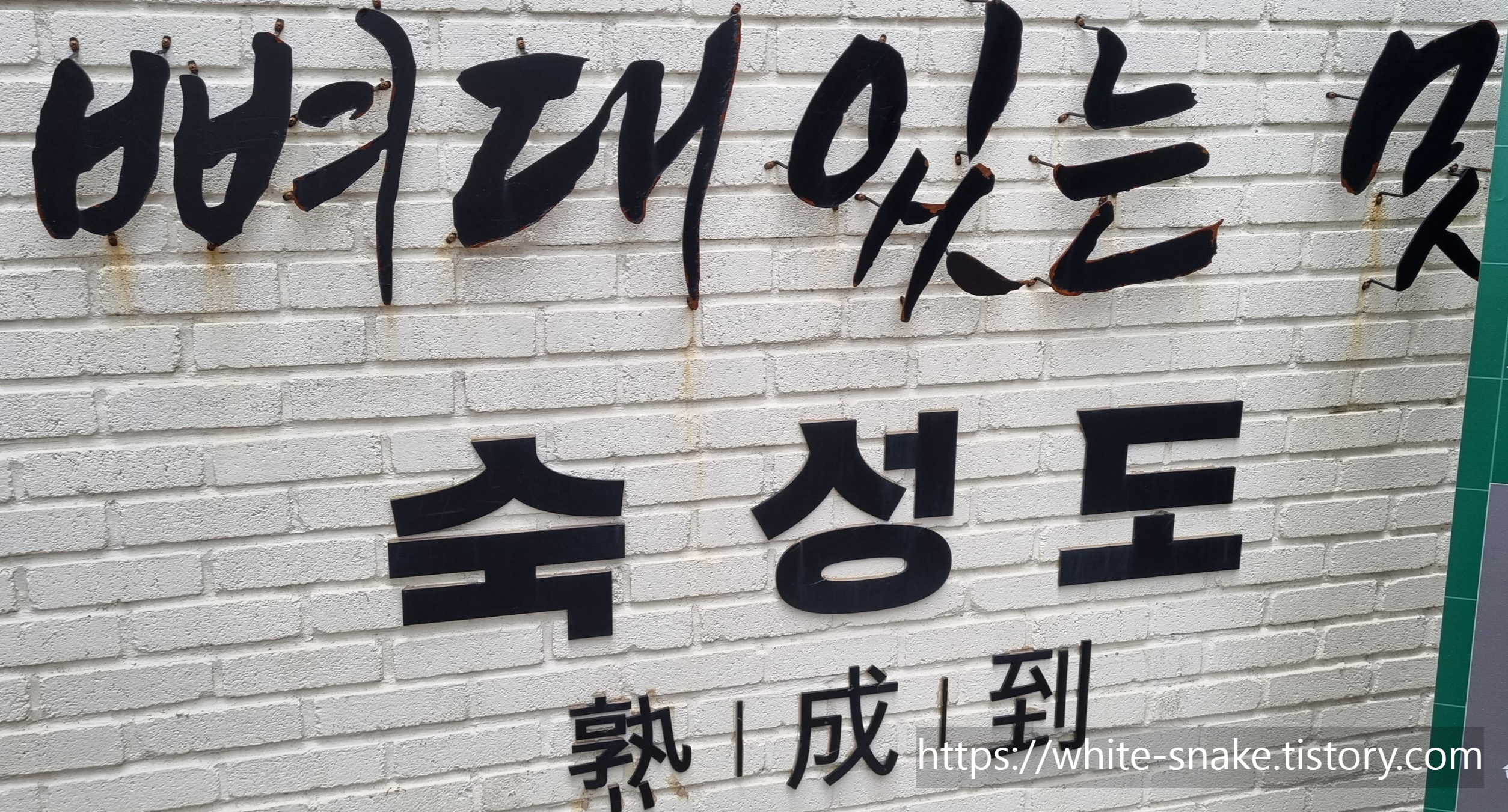 숙성도