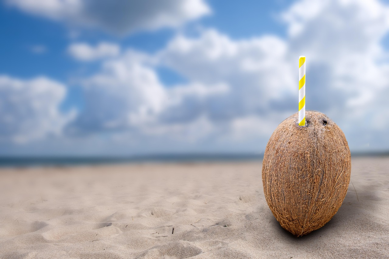 매일의 작은 성장 확인법