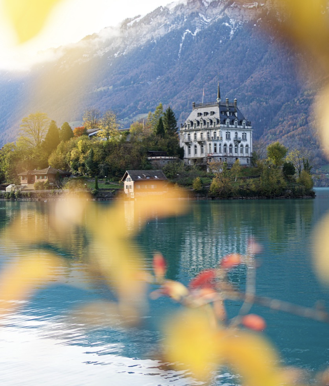 지브리 애니메이션 속 음식 문화 탐방: 맛있는 상상력, 현실 세계와의 따뜻한 연결고리