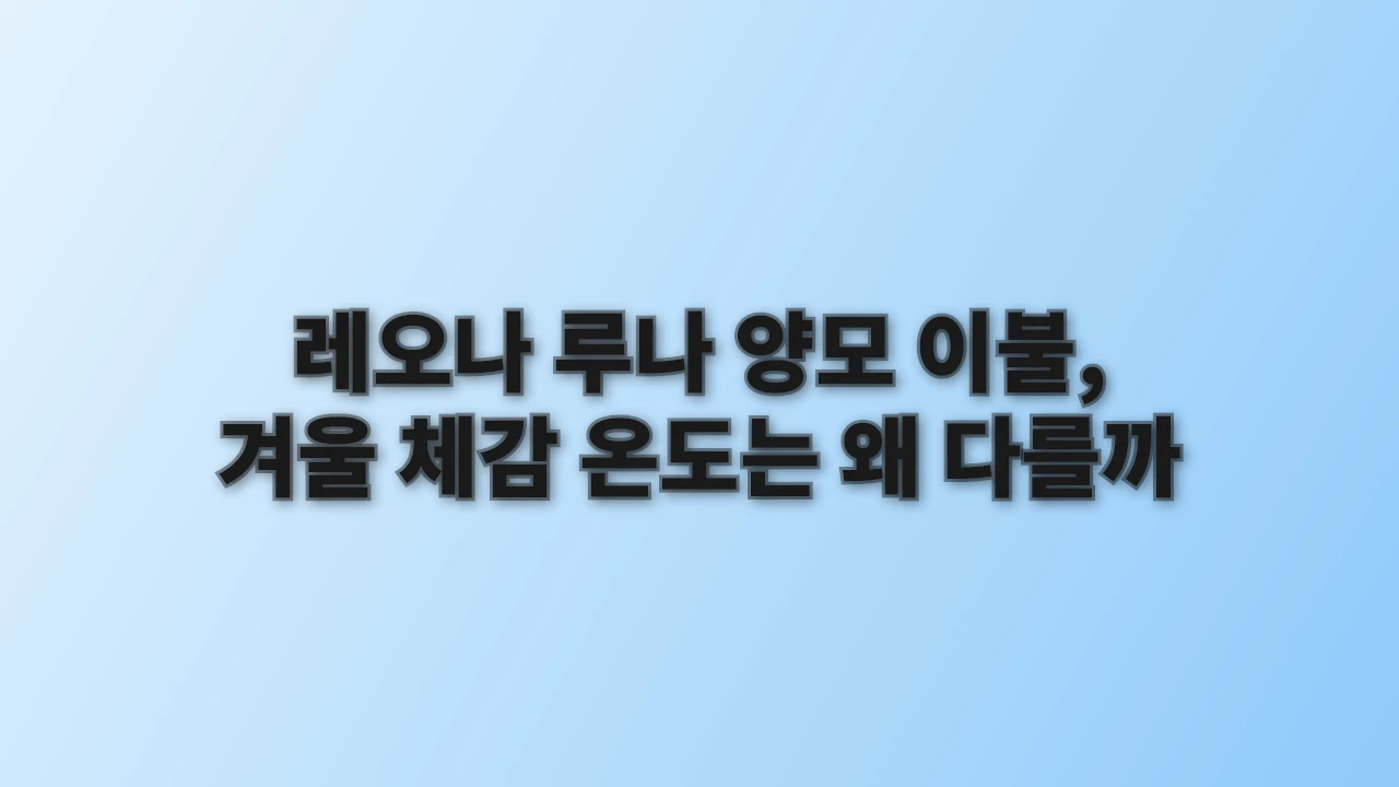 레오나 루나 양모 이불, 겨울 체감 온도는 왜 다를까