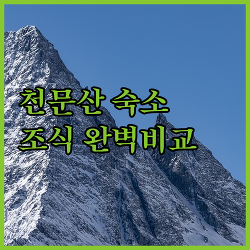 장가계 천문산 케이블카 근처 호텔 추..