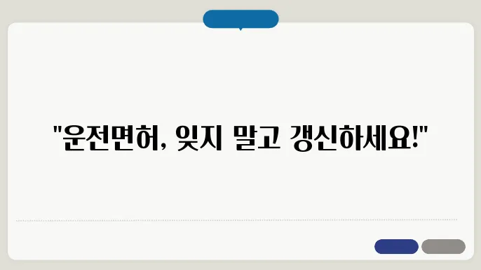 운전면허증 갱신 신주