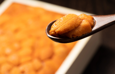 임산부는 성게 먹어도 괜찮아?