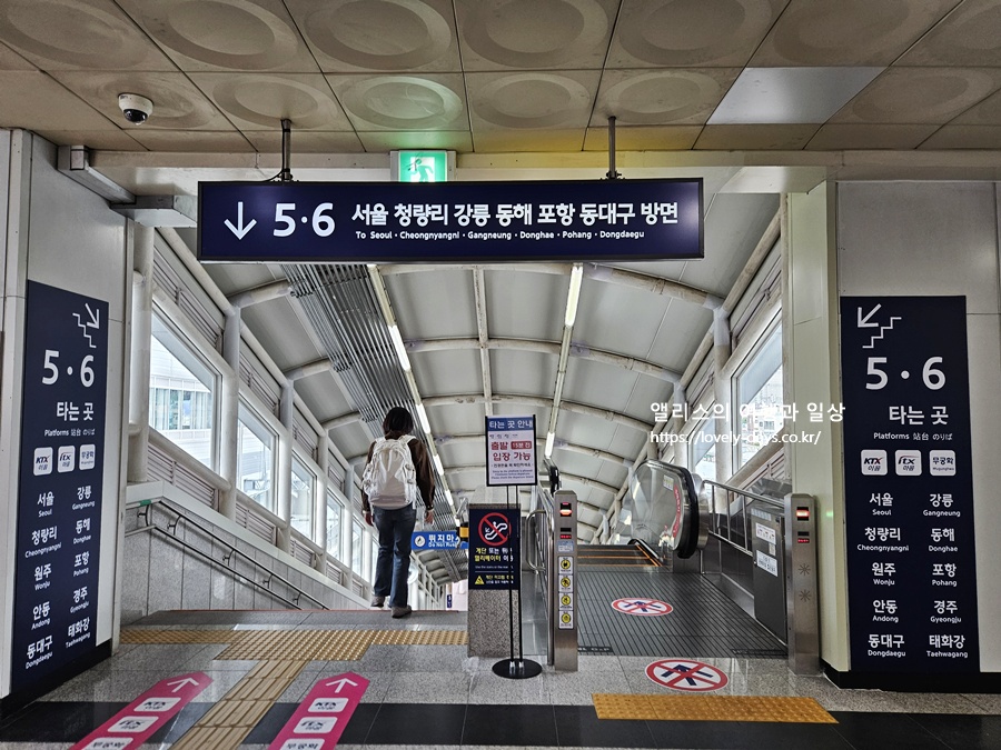 청량리 부전역 ktx 노선도 정차역 시간표 가격 실제 탑승 후기