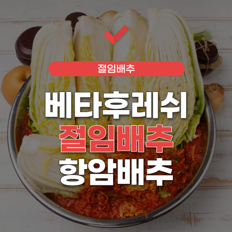 베타후레쉬-절임배추-썸네일