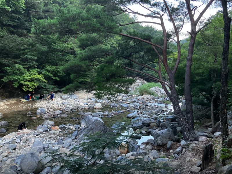 내원사계곡