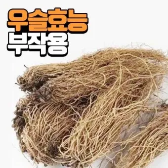 우슬뿌리 효능 부작용 먹는법 건강 활용 팁_27