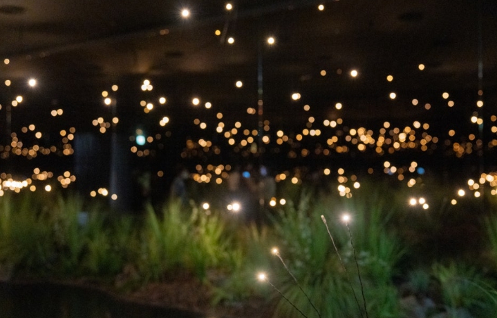 당일치기/국내/나들이/서울/청와대/사랑채