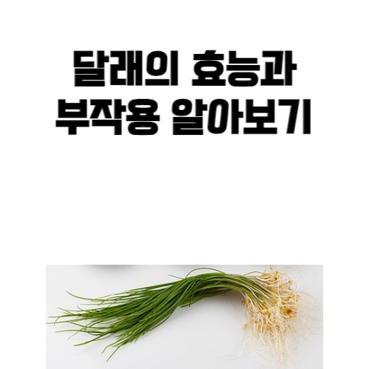 달래의 효능과 부작용