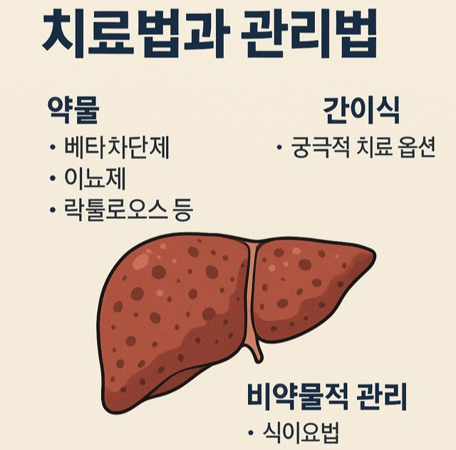 최신 간경화 치료법(약물, 간이식, 비약물적 관리)을 시각적으로 정리(출처: 자체제작)