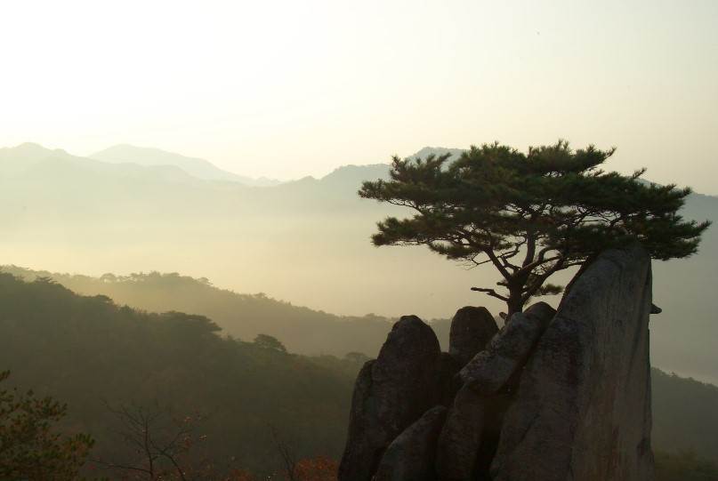 제천시 경제활력지원금 20만원 신청방법