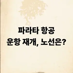 파라타 항공 운항 재개