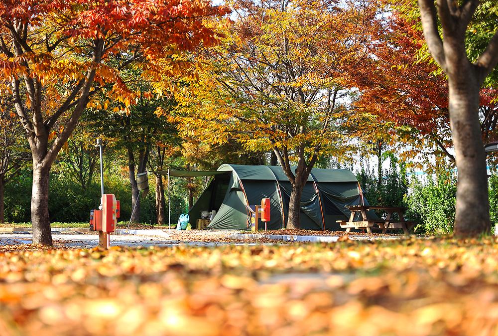 경기도 안성맞춤캠핑장 소개