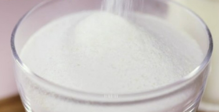 BNR17 유산균 추천