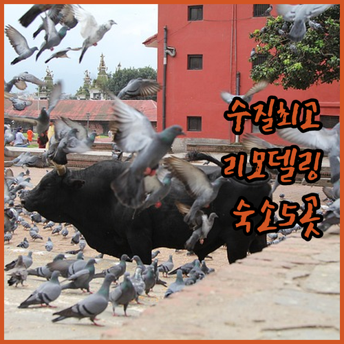 루앙프라방 호텔 예약 팁 야시장 가깝..