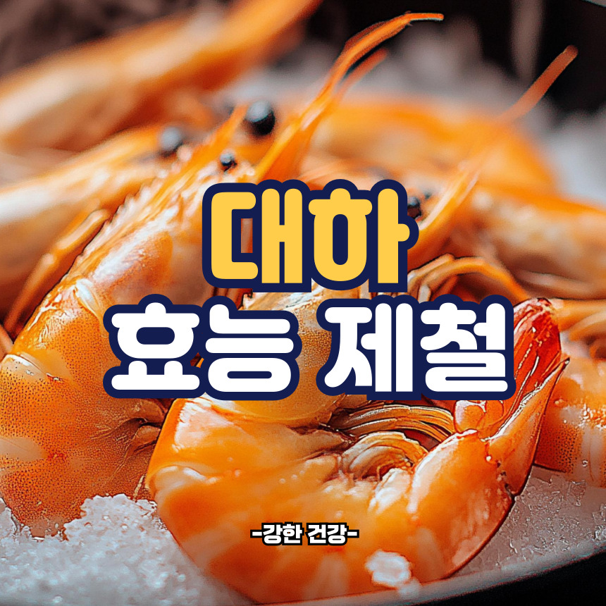 대하 효능