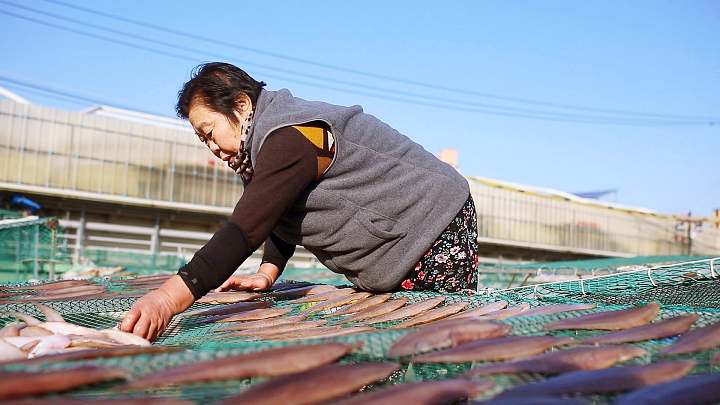 EBS 한국기행 노포 숯불 생선 구이 전국 택배 구매 주문 고등어 삼치 갑오징어 병어 도다리 민어 전남 고흥 맛집 추천 소개