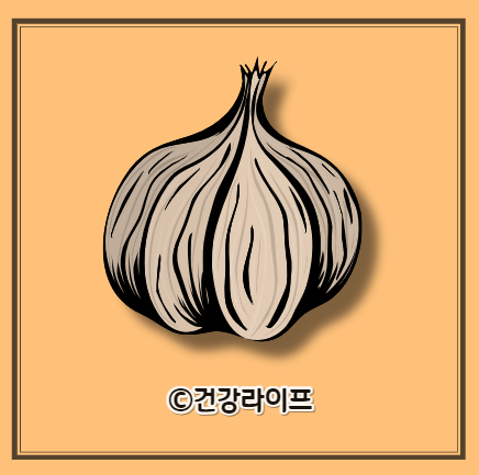 흑마늘 효능 14가지