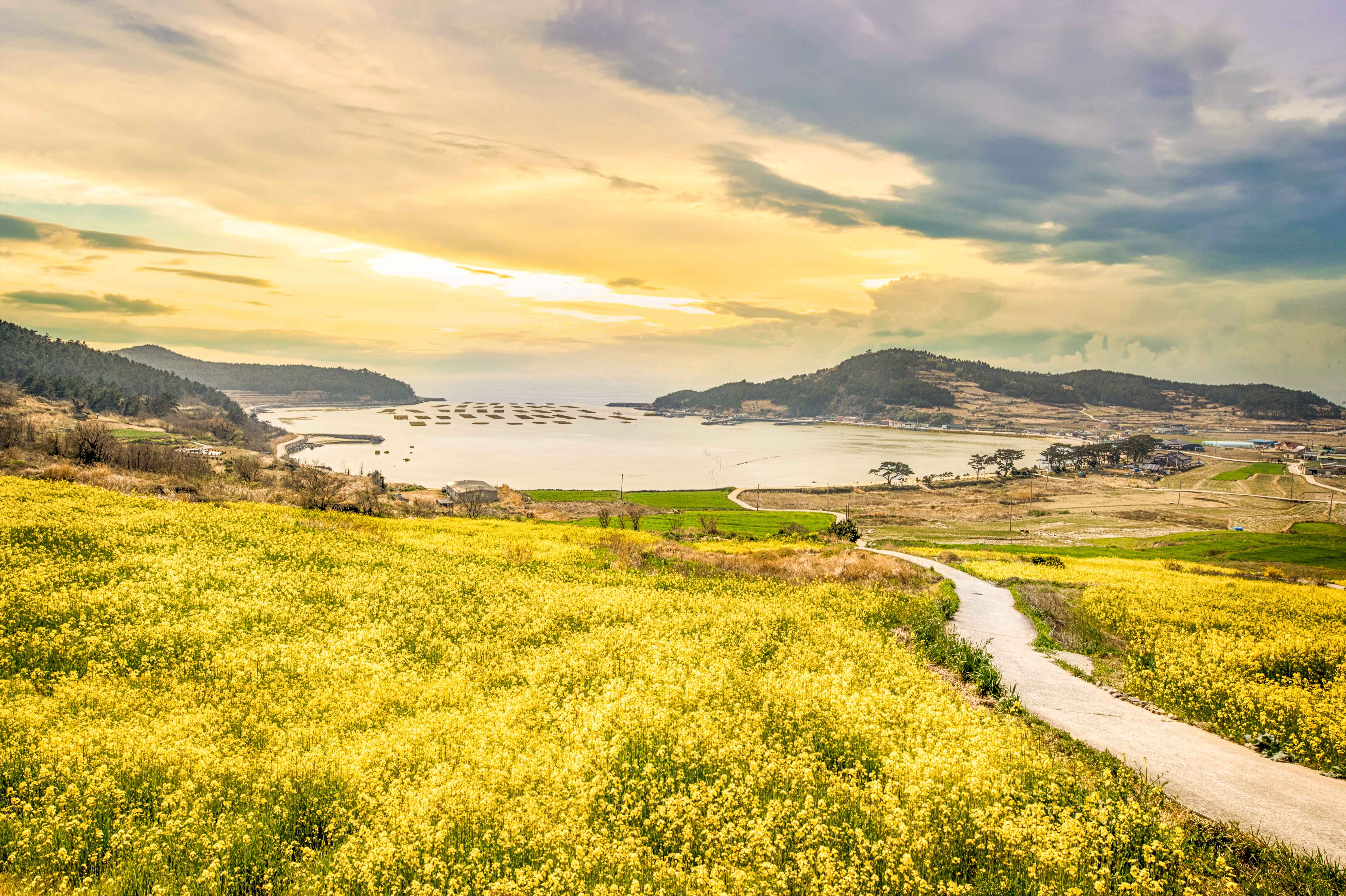 청산도, 느림의 미학을 걷는 봄날의 여행