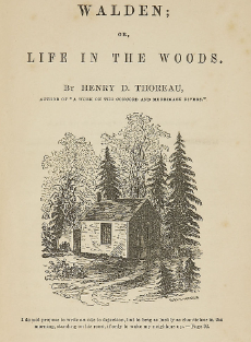 자연주의 문학의 대표 작품