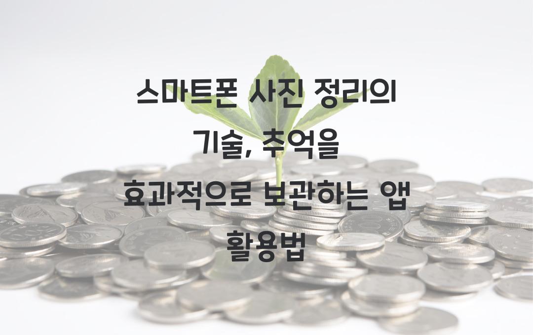 스마트폰 사진 정리의 기술, 추억을 체계적으로 보관하는 앱 활용법