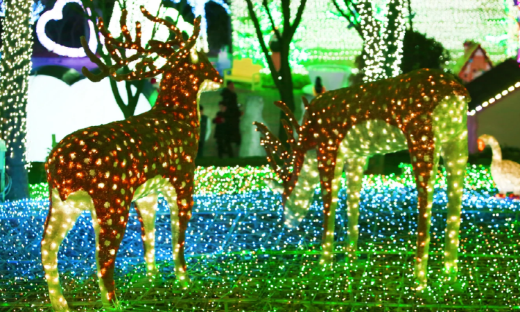 안산 별빛마을 별빛축제