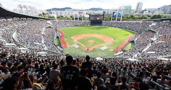 2025 프로야구 순위 실시간 업데이트-KBO 리그 팀별 성적