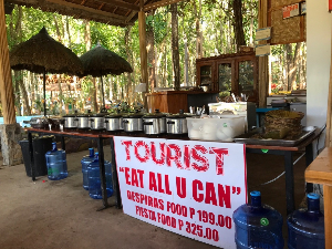 보홀 여행 추천 필리핀 안경원숭이 레크리에이션 Inc.