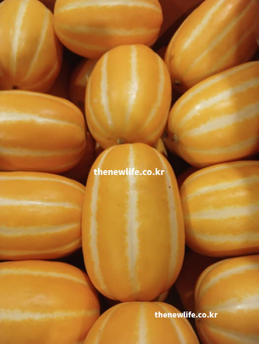 참외 효능의 나트륨 배출에 도움을 주는 칼륨이 풍부한 참외 실사진