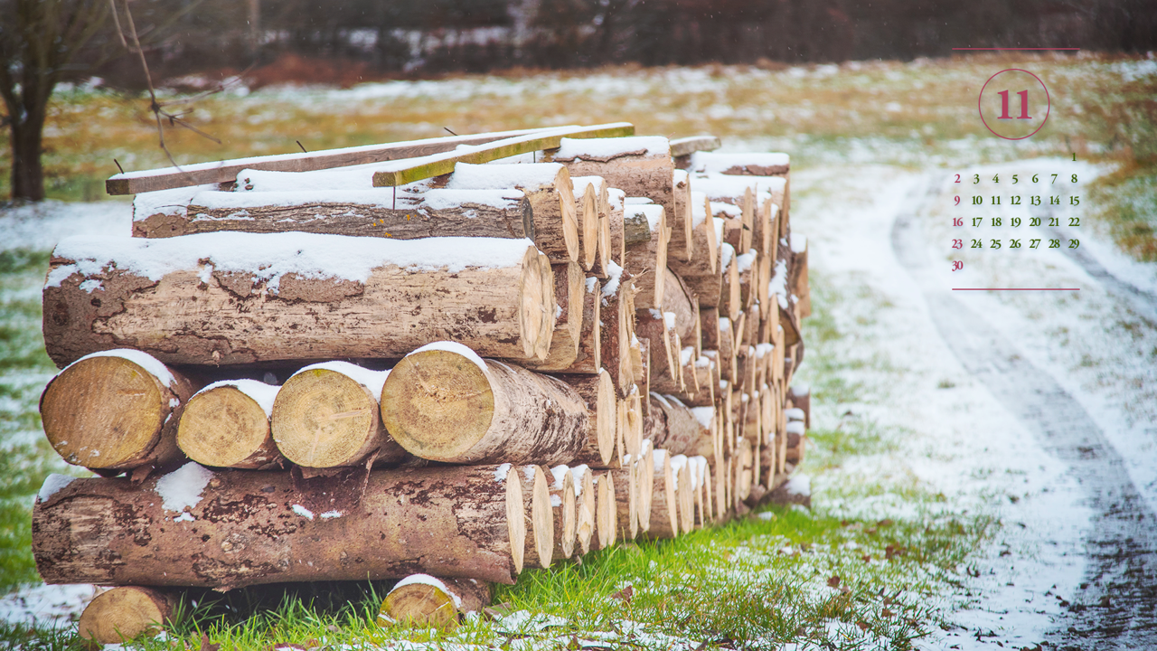 04 눈 내린 통나무 A - 2025년11월 노트북배경화면
