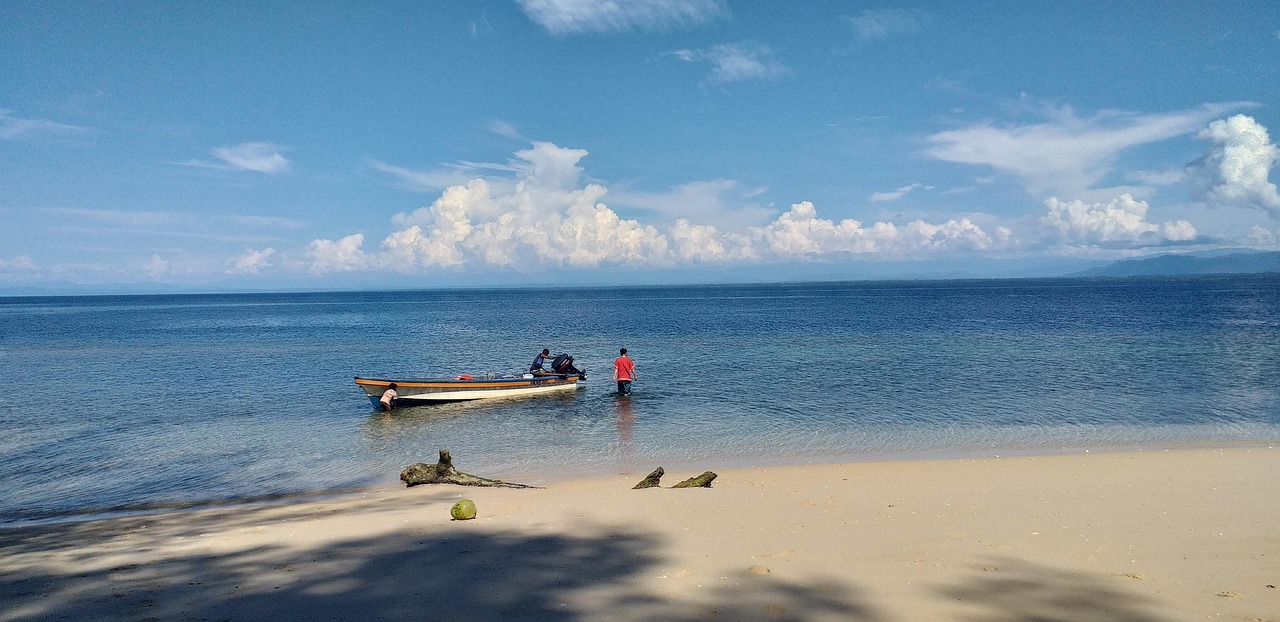 파푸아 뉴기니 하일랜드 (PAPUA NEW GUINEA HIGHLANDS) 커피빈 상세 분석